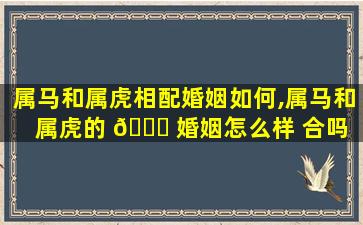 属马和属虎相配婚姻如何,属马和属虎的 🐕 婚姻怎么样 合吗 🍀